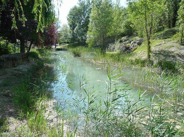 Mazet De Vacances Dans Le Domaine De L'Espai Saint-Martin-de-Bromes Экстерьер фото